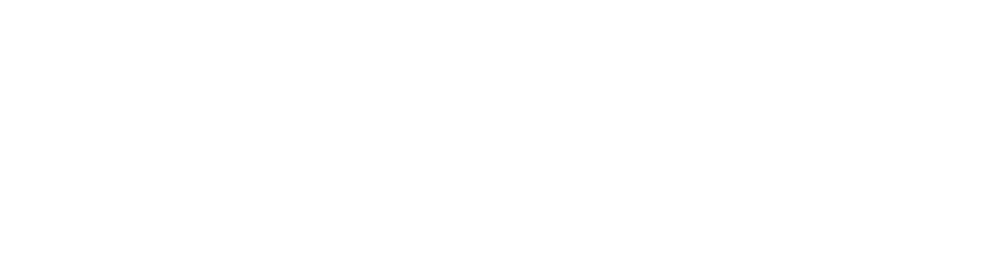 Dodo Defence